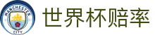2026国际足联世界杯购彩网 - 世界杯赔率查询与购彩APP在线下载